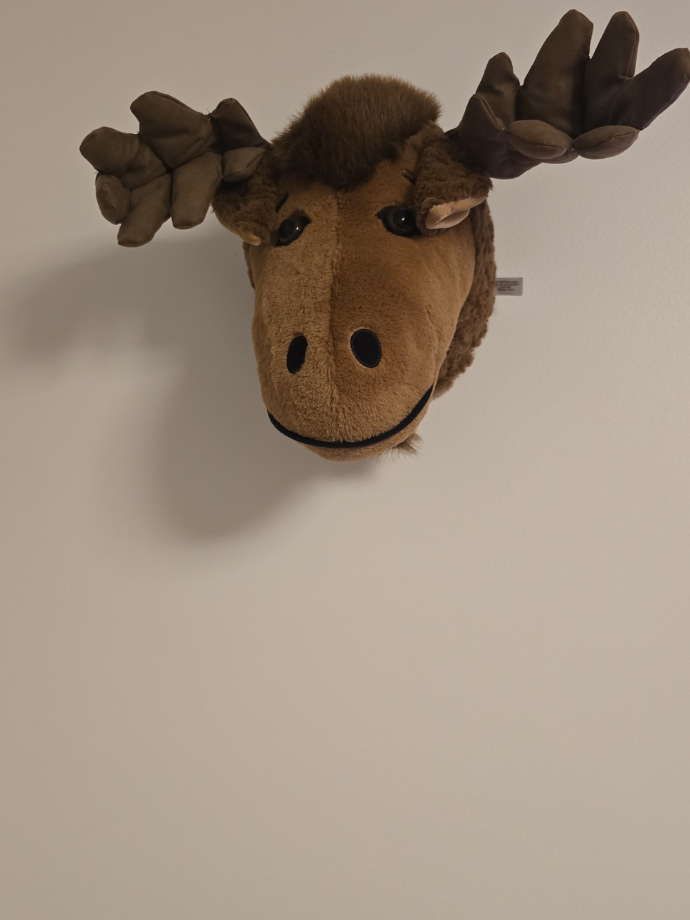 Plush Moose Wall Mount in Brown